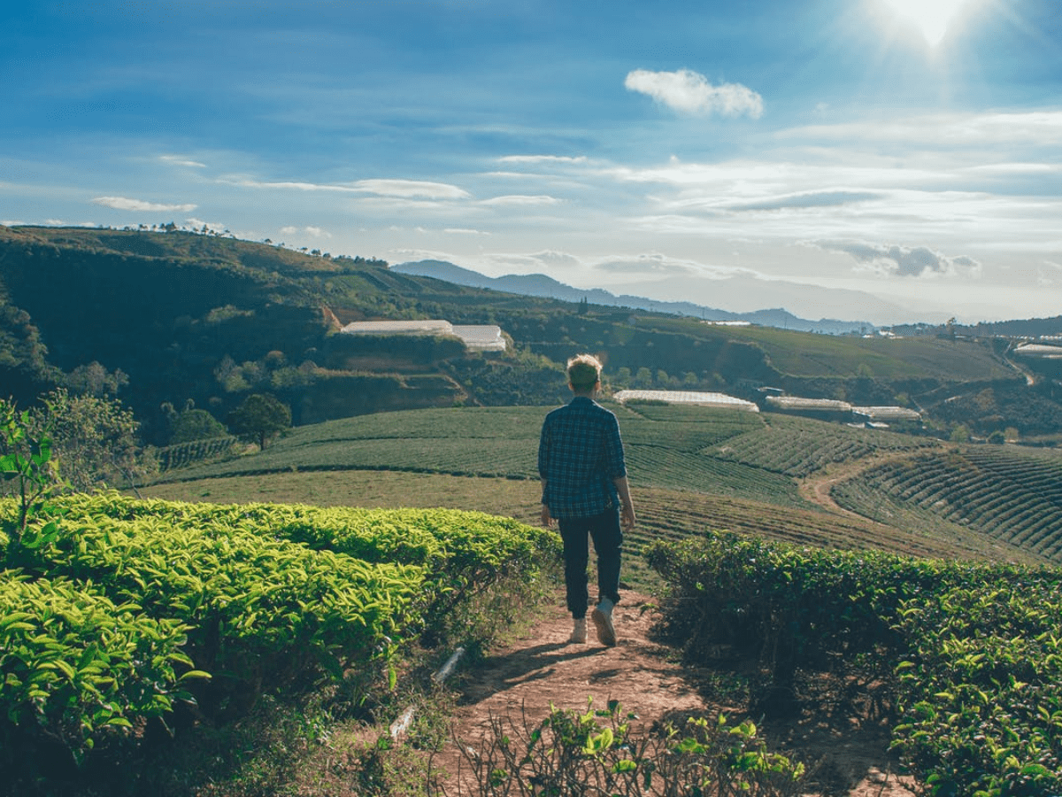 Healing Hubs Building Projects