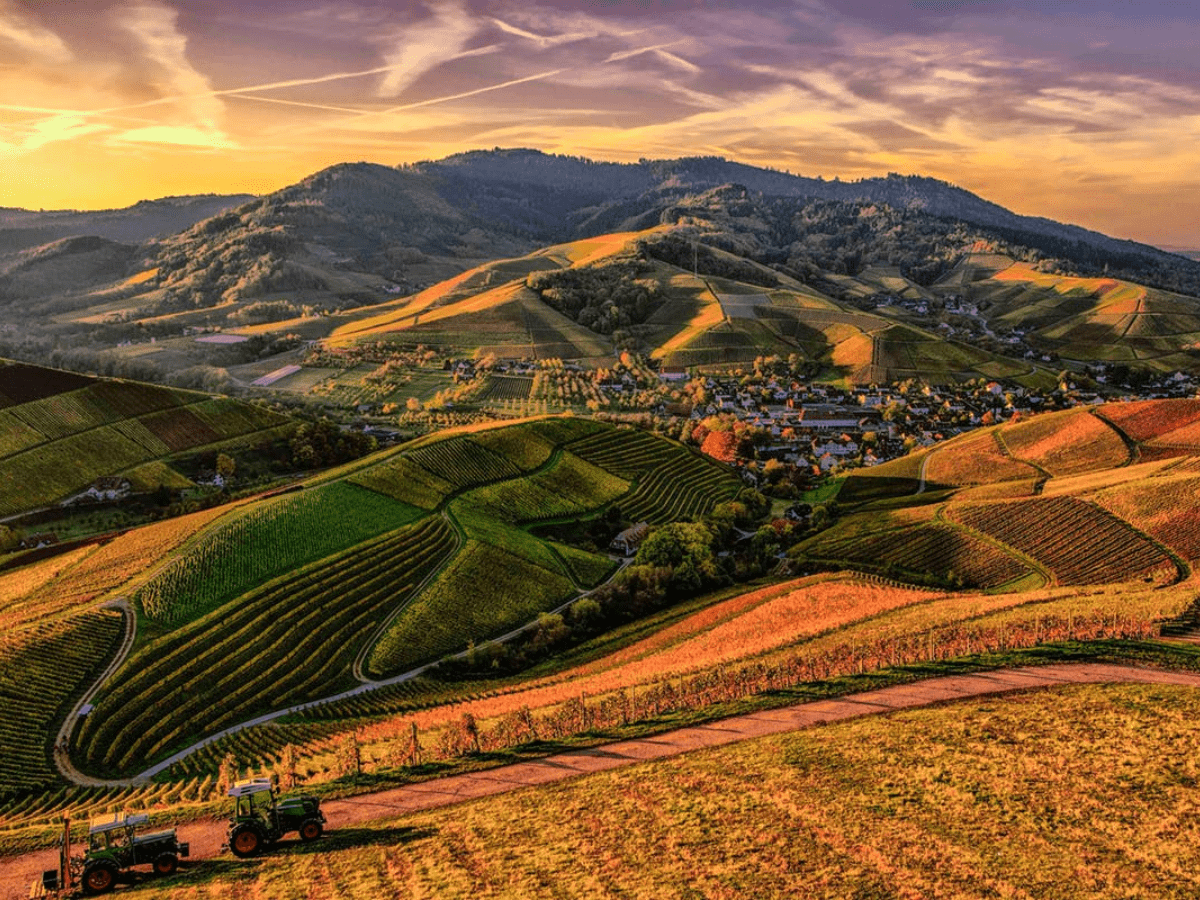 Healing Hubs Farming Community