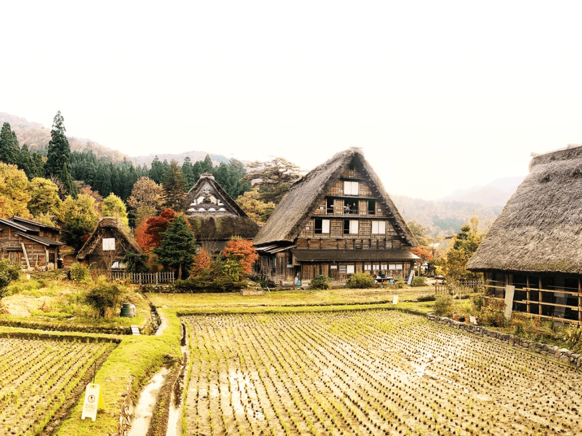 Healing Hubs Co-housing Projects