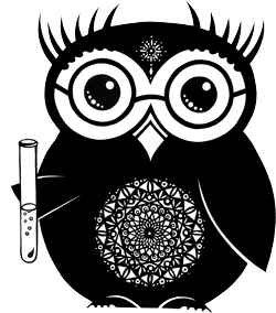 Dan Guttman, Fundraising Co-Manager