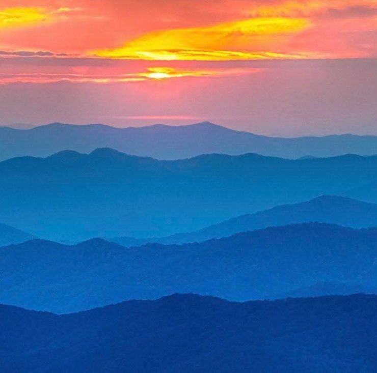 Blue Ridge Chaga Connection